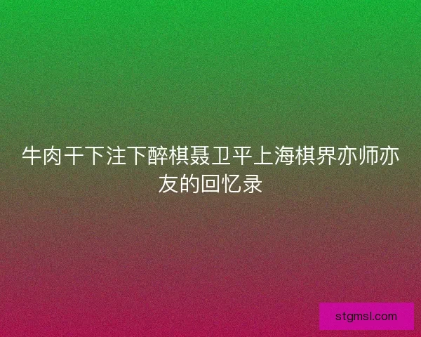 牛肉干下注下醉棋聂卫平上海棋界亦师亦友的回忆录