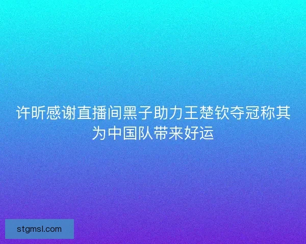 许昕感谢直播间黑子助力王楚钦夺冠称其为中国队带来好运