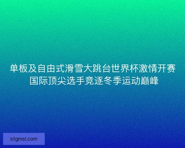 单板及自由式滑雪大跳台世界杯激情开赛 国际顶尖选手竞逐冬季运动巅峰