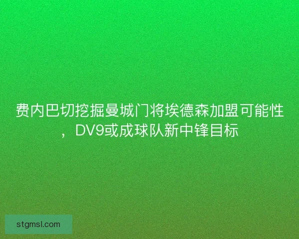 费内巴切挖掘曼城门将埃德森加盟可能性,DV9或成球队新中锋目标 费内巴切挖掘曼城门将埃德森加盟可能性,DV9或成球队新中锋目标