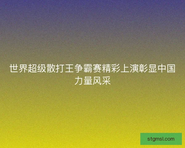 世界超级散打王争霸赛精彩上演彰显中国力量风采